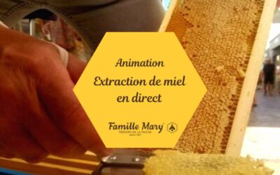 ANIMATION « FAMILLE MARY »