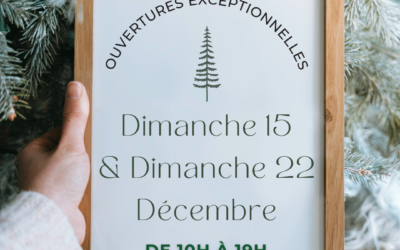 Ouvertures exceptionnelles de décembre