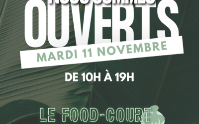 Ouverture mardi 11 novembre
