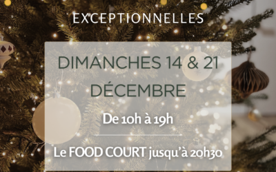 Ouvertures Exceptionnelles