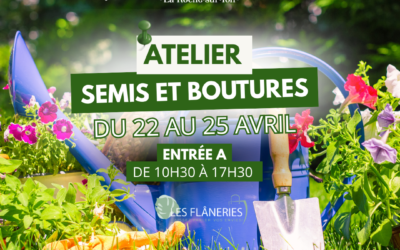 ATELIER SEMIS ET BOUTURES