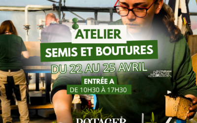 ATELIER SEMIS ET BOUTURES